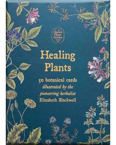 Healing Plants: A Botanical Card Deck (50 Cards and Booklet) - 1